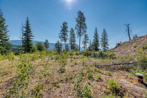 Lot 10 Recline Ridge Road, Tappen, BC 