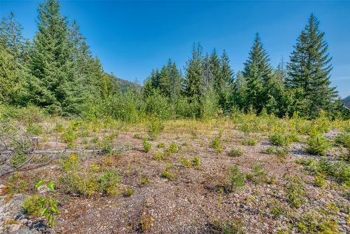 Lot 10 Recline Ridge Road, Tappen, BC 