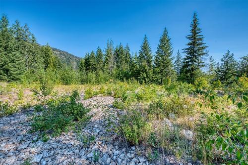 Lot 10 Recline Ridge Road, Tappen, BC 