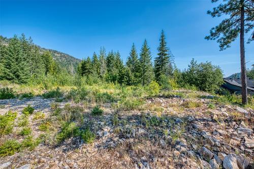 Lot 10 Recline Ridge Road, Tappen, BC 