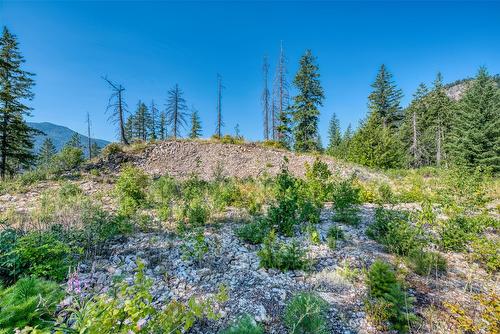 Lot 10 Recline Ridge Road, Tappen, BC 