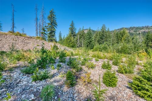 Lot 10 Recline Ridge Road, Tappen, BC 