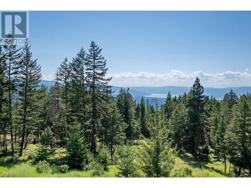 2025 Huckleberry Road, Kelowna, BC - Outdoor With View