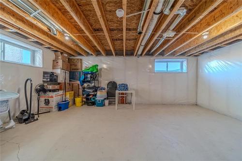 226 Tyson Trail, Winnipeg, MB - Indoor Photo Showing Basement