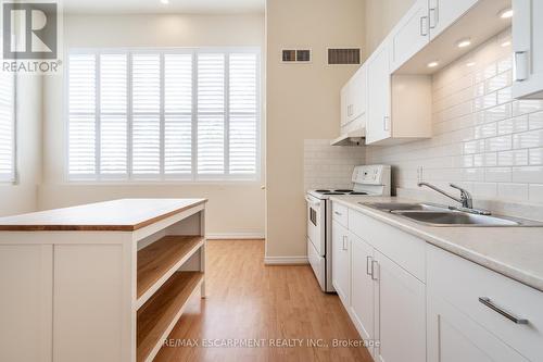 102 - 111 Grey Street, Brant (Brantford Twp), ON - Indoor Photo Showing Kitchen With Double Sink