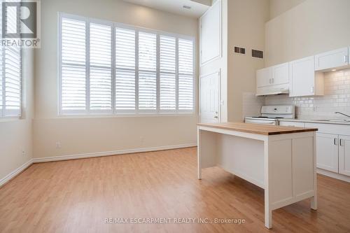 102 - 111 Grey Street, Brant (Brantford Twp), ON - Indoor Photo Showing Kitchen