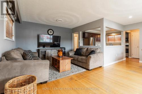 299 Carson Drive, Hamilton (Lisgar), ON - Indoor Photo Showing Living Room