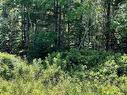 Lot 226 Hawthorn Road, Mahone Bay, NS 