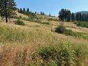 6235 Gilpin Creek Forest Service Rd, Grand Forks, BC 