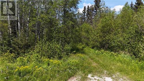 0 Hough Lake Road, Temiskaming Shores, ON 