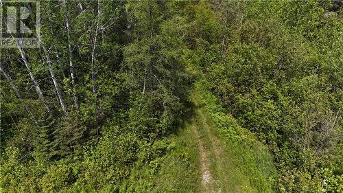 0 Hough Lake Road, Temiskaming Shores, ON 