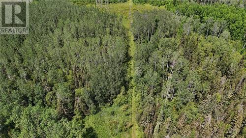 0 Hough Lake Road, Temiskaming Shores, ON 