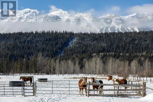 558 Anderson  Road, Golden, BC - Outdoor With View