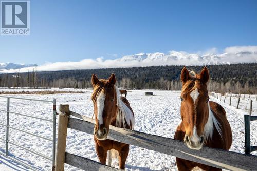 558 Anderson  Road, Golden, BC - Outdoor