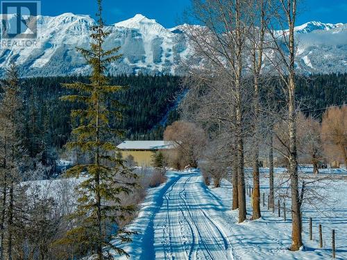 558 Anderson  Road, Golden, BC - Outdoor With View