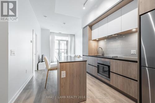 303 - 34 Tubman Avenue, Toronto (Regent Park), ON - Indoor Photo Showing Kitchen With Upgraded Kitchen