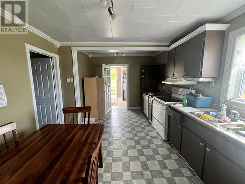 43 Tavernors Road, Bay De Verde, NL - Indoor Photo Showing Kitchen With Double Sink