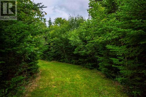 1090 Indian Meal Line, Portugal Cove St. Phillips, NL - Outdoor