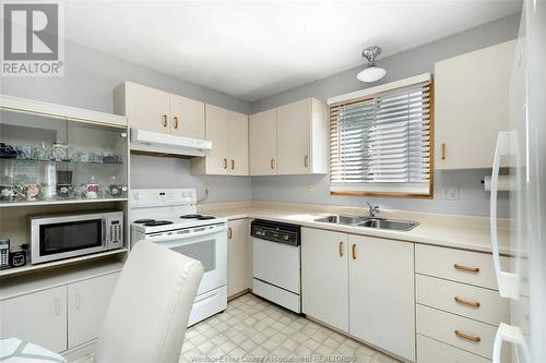 1381 Azalia Crescent, Windsor, ON - Indoor Photo Showing Kitchen With Double Sink