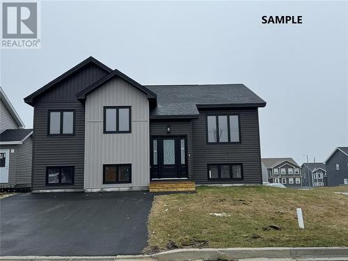 47 Sir Wilfred Grenfell Street, St. John'S, NL - Outdoor With Facade