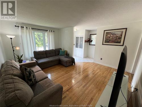 9504 Ashland Drive, Windsor, ON - Indoor Photo Showing Living Room