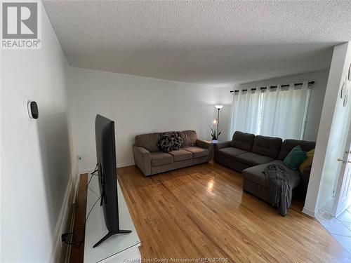 9504 Ashland Drive, Windsor, ON - Indoor Photo Showing Living Room