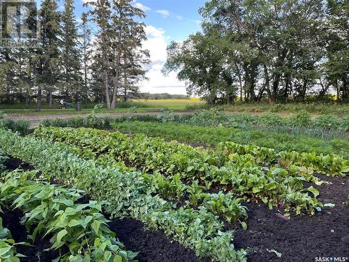 Sarauer Acreage, Annaheim, SK - Outdoor