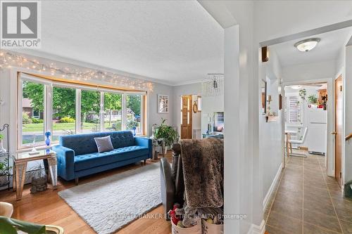 234 Bennet Street, Peterborough (Northcrest), ON - Indoor Photo Showing Living Room