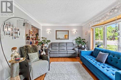 234 Bennet Street, Peterborough (Northcrest), ON - Indoor Photo Showing Living Room