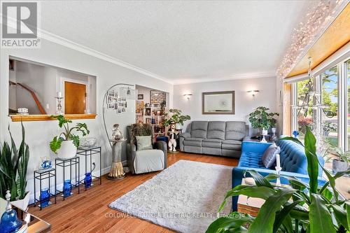 234 Bennet Street, Peterborough (Northcrest), ON - Indoor Photo Showing Living Room