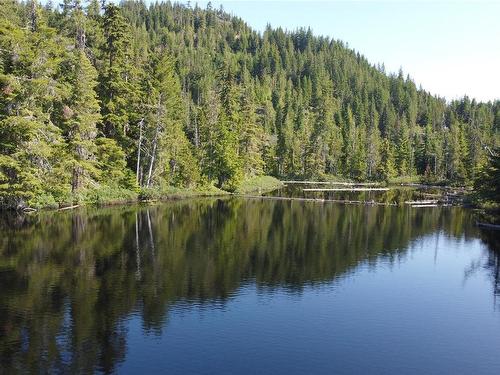 Sl2 Gold River Hwy, Campbell River, BC 