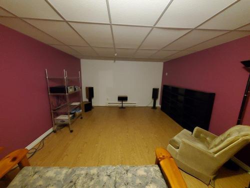 Home theatre - 5010 Ch. D'Albert Mines, Hatley - Canton, QC - Indoor