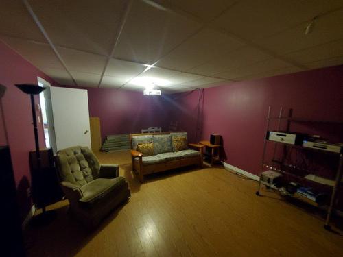 Home theatre - 5010 Ch. D'Albert Mines, Hatley - Canton, QC - Indoor