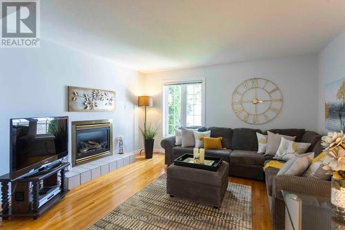 259 Pleasant Boulevard, Georgina (Keswick South), ON - Indoor Photo Showing Living Room With Fireplace