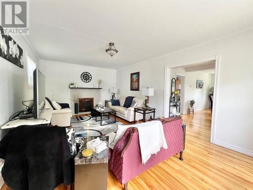 2 Haig Road, Grand Falls-Windsor, NL - Indoor Photo Showing Living Room