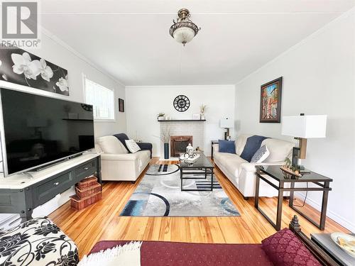 2 Haig Road, Grand Falls-Windsor, NL - Indoor Photo Showing Living Room With Fireplace