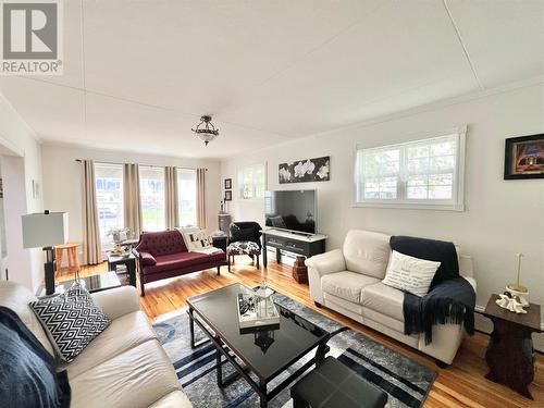 2 Haig Road, Grand Falls-Windsor, NL - Indoor Photo Showing Living Room