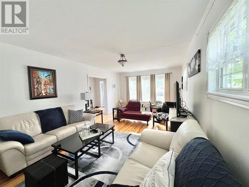 2 Haig Road, Grand Falls-Windsor, NL - Indoor Photo Showing Living Room