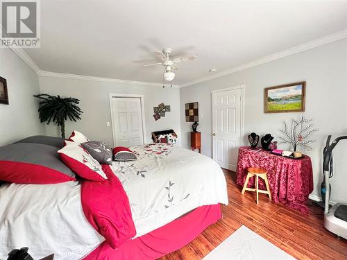 2 Haig Road, Grand Falls-Windsor, NL - Indoor Photo Showing Bedroom