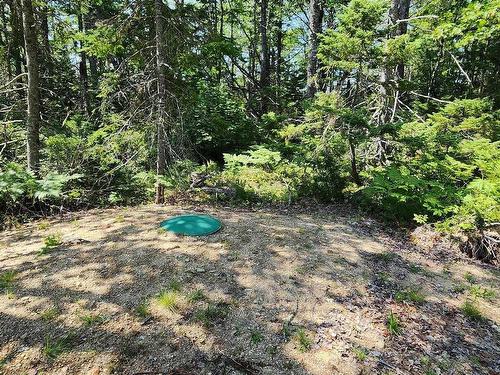 Lot 5 Virginia Road, West Springhill, NS 