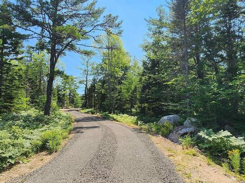 Lot 5 Virginia Road, West Springhill, NS 