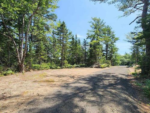 Lot 5 Virginia Road, West Springhill, NS 