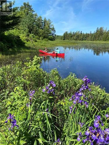 8194 Route 3, Moores Mills, NB - Outdoor With Body Of Water With View