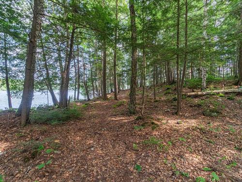 Terre/Terrain - 7959 Lac-Des-Écorces, Barkmere, QC - Outdoor With View