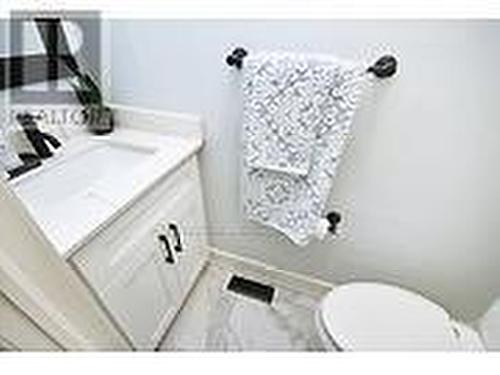 225 Father Tobin Road, Brampton (Sandringham-Wellington), ON - Indoor Photo Showing Bathroom