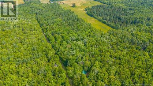 Lot Paquetville Road, Paquetville, NB 