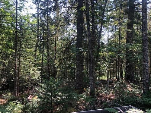 Lot 29 Tupper Lake, Westfield, NS 