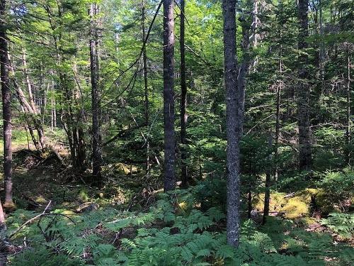 Lot 29 Tupper Lake, Westfield, NS 