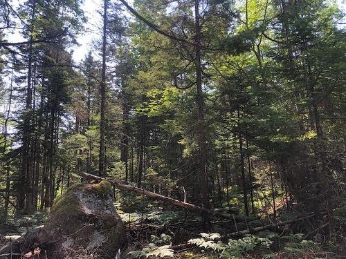 Lot 29 Tupper Lake, Westfield, NS 