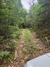 Lot 29 Tupper Lake, Westfield, NS 